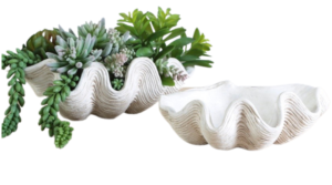 Shell bowl decorative